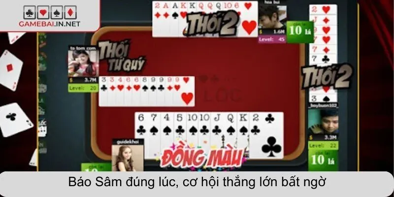 Báo Sâm đúng lúc, cơ hội thắng lớn bất ngờ